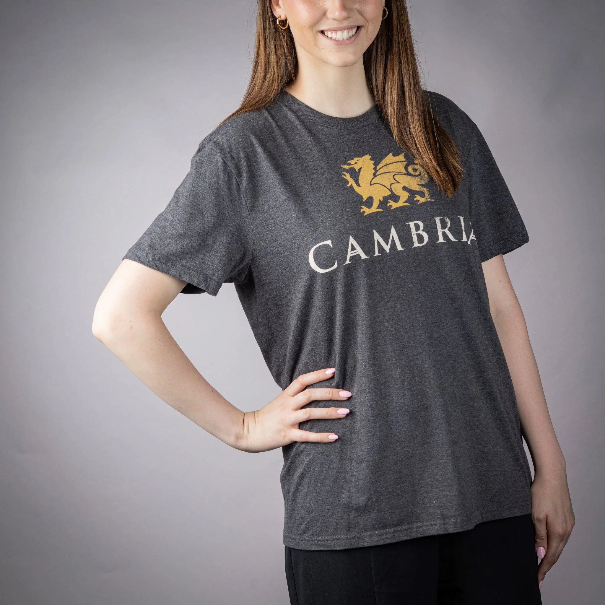 Cambria Butterwash Gray Tee - Image 2