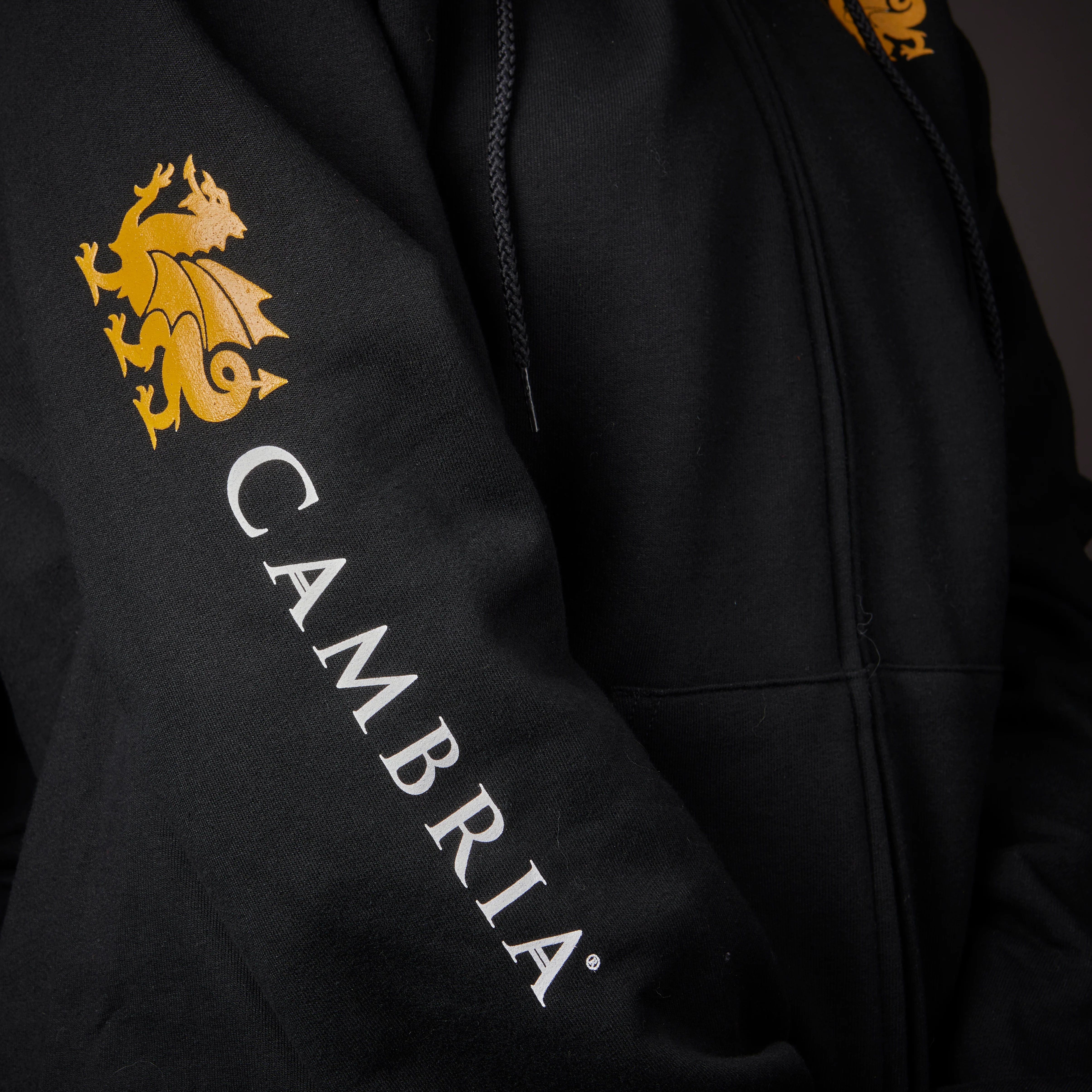 Cambria Champion Full-Zip Hoodie - Image 2