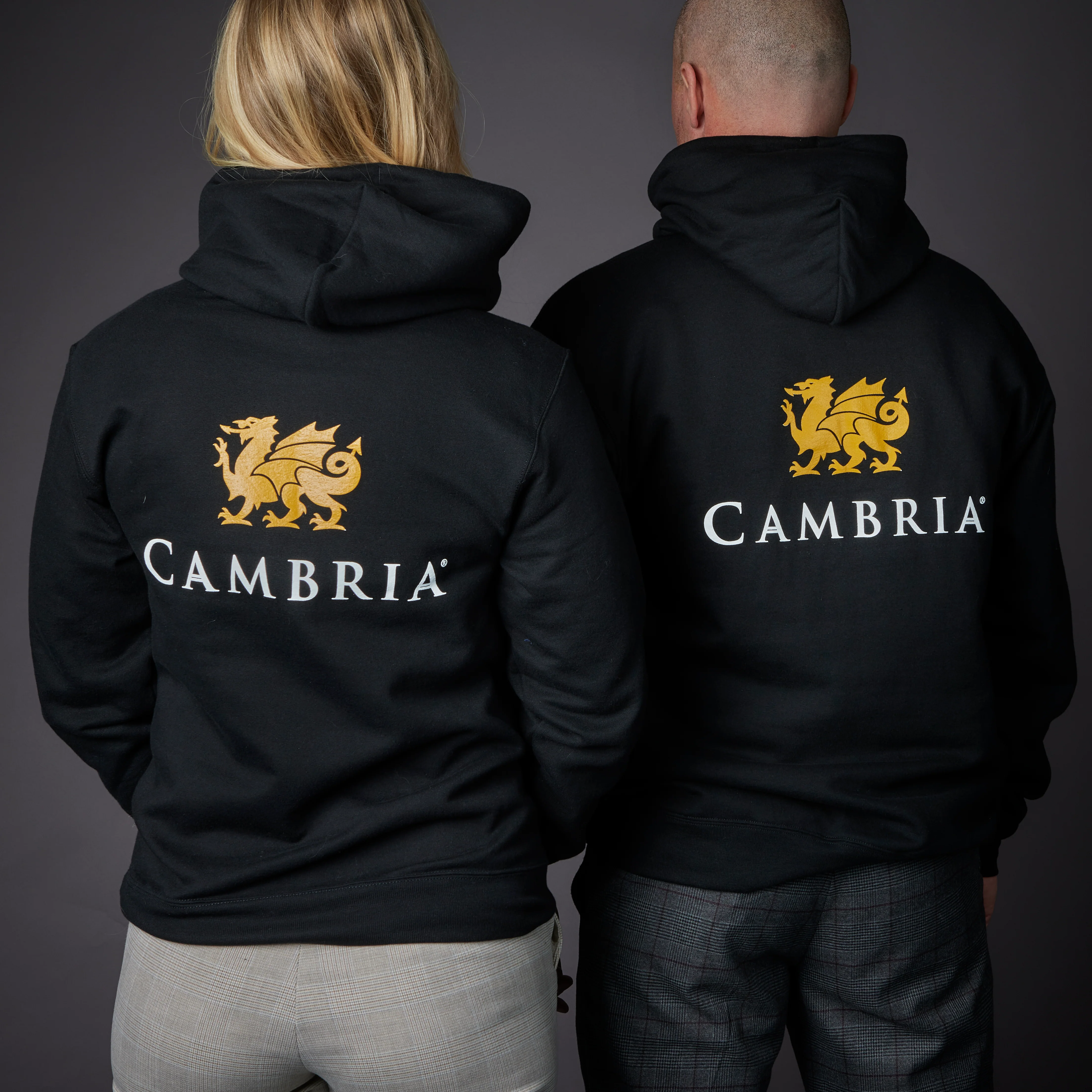 Cambria Champion Hoodie - Image 2