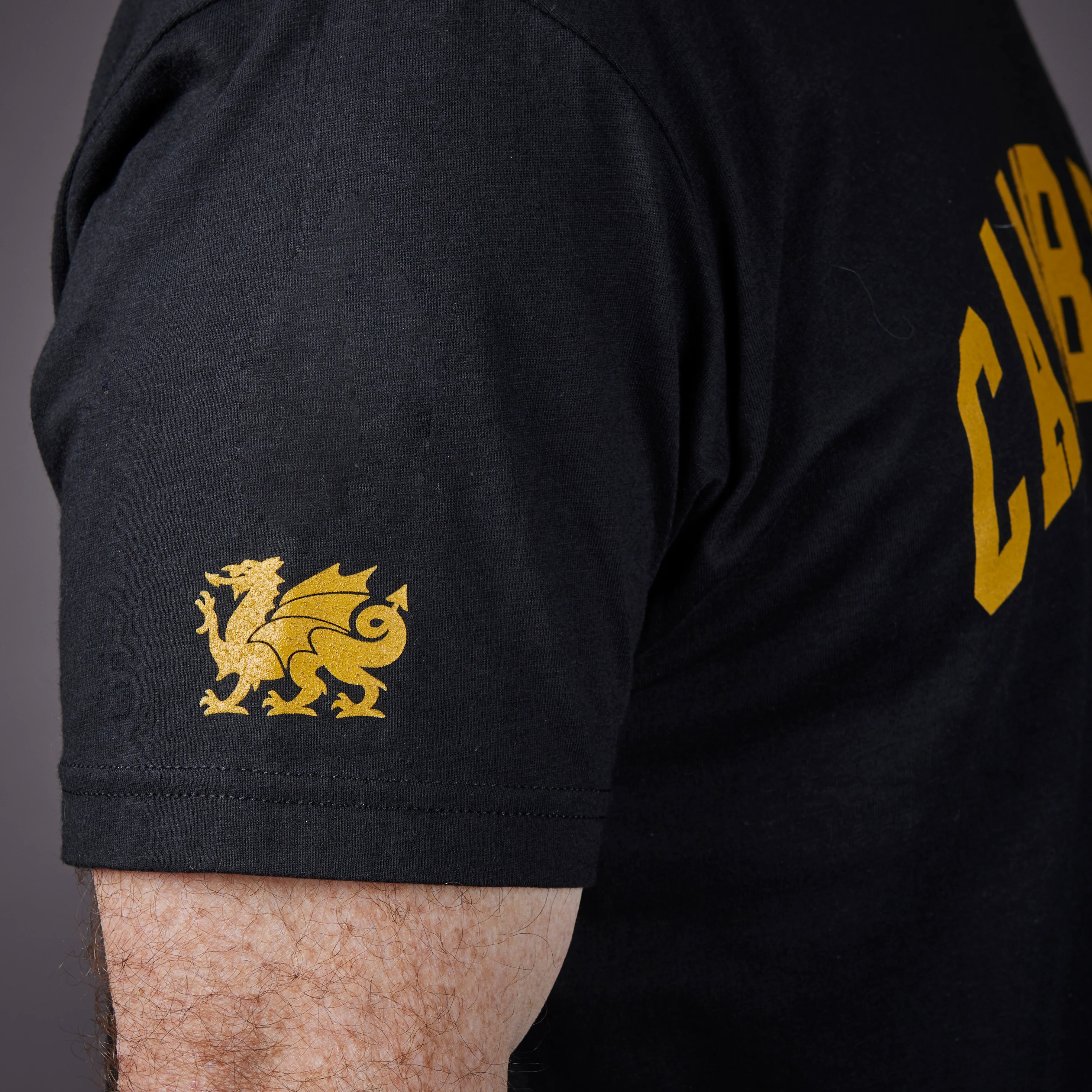 Cambria Collegiate Tee - Image 2
