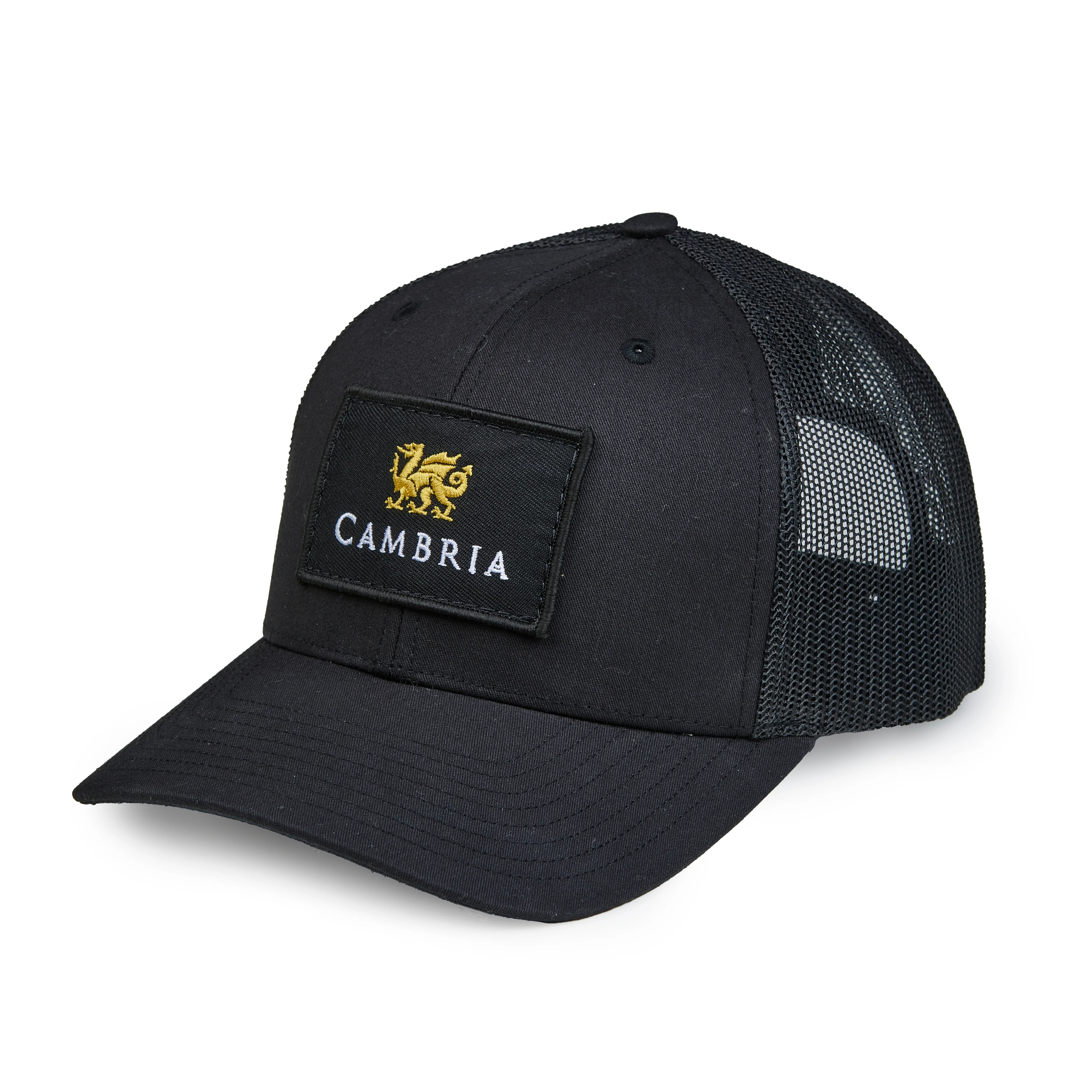 Northern Lids Black Trucker Hat